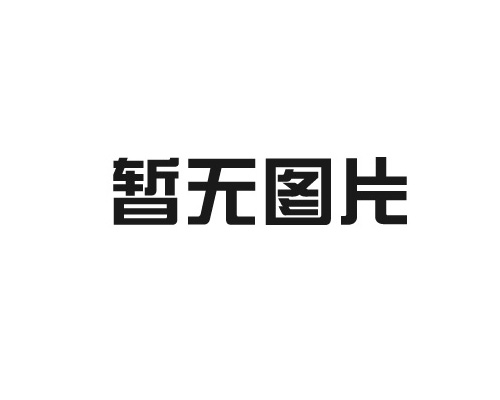 6766澳门娱乐直营作为民办机构其中代表出席东莞市残疾人联合会第八次代表大会